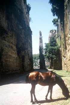 Madfaa gives a scale to Saone's dry moat