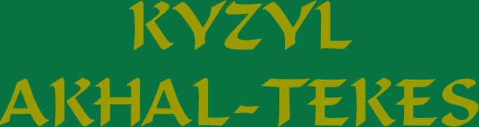 Kyzyl Akhal-Tekes