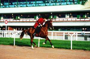 Caroline and Kaan at Wolverhampton