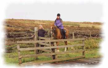 Peter on cattle grid duty