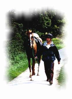 On the Tissington Trail