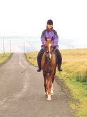 On the Lammermuir Hills