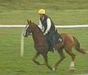 Peter Scudamore at Chepstow